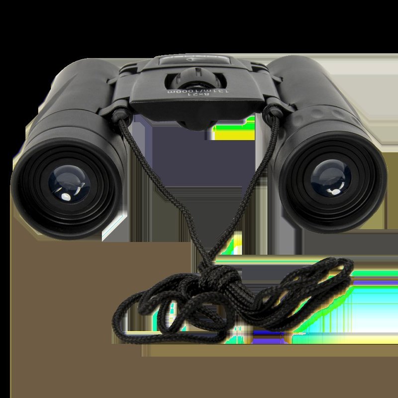 Бинокль BORNER 8Х21 black Roof BK-7